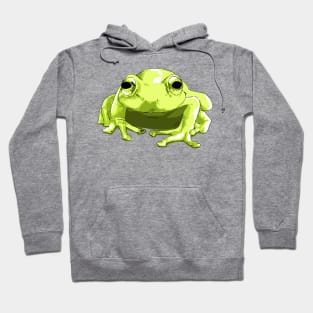 Green Tree Frog Hoodie